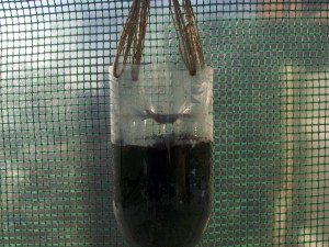 watch the water drain