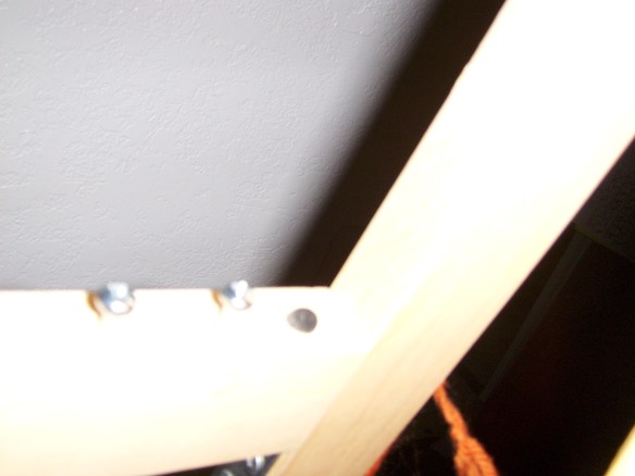 My beautiful picture